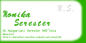 monika serester business card